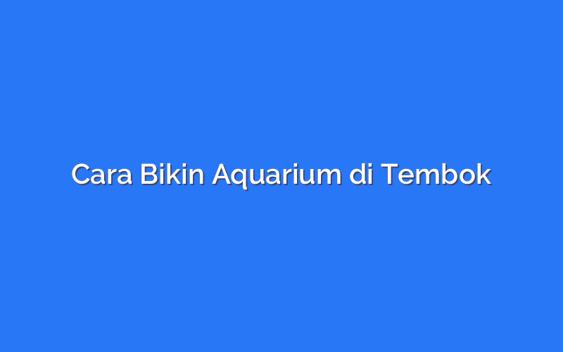 Cara Bikin Aquarium di Tembok