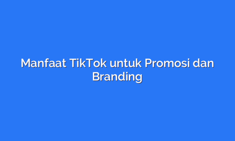 Manfaat TikTok untuk Promosi dan Branding