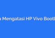 Cara Mengatasi HP Vivo Bootloop