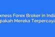 Exness Forex Broker in India: Apakah Mereka Terpercaya?
