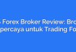 FBS Forex Broker Review: Broker Terpercaya untuk Trading Forex