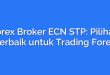 Forex Broker ECN STP: Pilihan Terbaik untuk Trading Forex