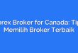 Forex Broker for Canada: Tips Memilih Broker Terbaik