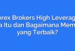 Forex Brokers High Leverage: Apa Itu dan Bagaimana Memilih yang Terbaik?