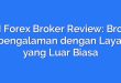 GMI Forex Broker Review: Broker Berpengalaman dengan Layanan yang Luar Biasa