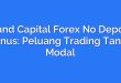 Grand Capital Forex No Deposit Bonus: Peluang Trading Tanpa Modal
