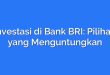 Investasi di Bank BRI: Pilihan yang Menguntungkan