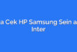 Cara Cek HP Samsung Sein atau Inter