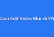 Cara Edit Video Blur di VN