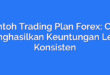 Contoh Trading Plan Forex: Cara Menghasilkan Keuntungan Lebih Konsisten