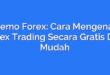 Demo Forex: Cara Mengenal Forex Trading Secara Gratis Dan Mudah