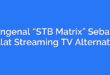 Mengenal “STB Matrix” Sebagai Alat Streaming TV Alternatif