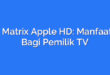 STB Matrix Apple HD: Manfaatnya Bagi Pemilik TV