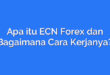 Apa itu ECN Forex dan Bagaimana Cara Kerjanya?