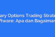 Binary Options Trading Strategy Software: Apa dan Bagaimana?