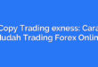 Copy Trading exness: Cara Mudah Trading Forex Online