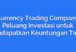 Currency Trading Company: Peluang Investasi untuk Mendapatkan Keuntungan Tinggi