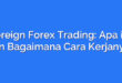 Foreign Forex Trading: Apa itu dan Bagaimana Cara Kerjanya?