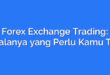 Forex Exchange Trading: Segalanya yang Perlu Kamu Tahu