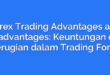 Forex Trading Advantages and Disadvantages: Keuntungan dan Kerugian dalam Trading Forex