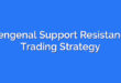 Mengenal Support Resistance Trading Strategy