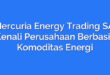 Mercuria Energy Trading SA: Kenali Perusahaan Berbasis Komoditas Energi
