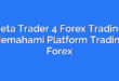 Meta Trader 4 Forex Trading: Memahami Platform Trading Forex