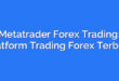 Metatrader Forex Trading: Platform Trading Forex Terbaik