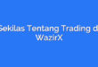Sekilas Tentang Trading di WazirX