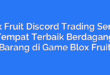 Blox Fruit Discord Trading Server: Tempat Terbaik Berdagang Barang di Game Blox Fruit