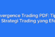 Divergence Trading PDF: Tips dan Strategi Trading yang Efektif