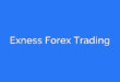 Exness Forex Trading