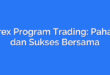 Forex Program Trading: Pahami dan Sukses Bersama