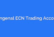 Mengenal ECN Trading Account
