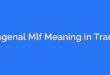 Mengenal Mlf Meaning in Trading