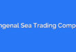 Mengenal Sea Trading Company
