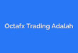 Octafx Trading Adalah
