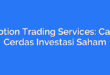 Option Trading Services: Cara Cerdas Investasi Saham