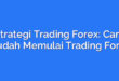Strategi Trading Forex: Cara Mudah Memulai Trading Forex