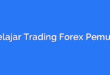 Belajar Trading Forex Pemula