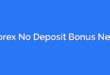 Forex No Deposit Bonus New