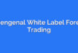 Mengenal White Label Forex Trading