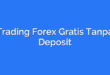 Trading Forex Gratis Tanpa Deposit