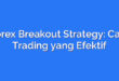 Forex Breakout Strategy: Cara Trading yang Efektif