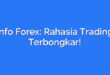 Info Forex: Rahasia Trading Terbongkar!