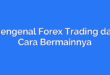 Mengenal Forex Trading dan Cara Bermainnya