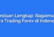 Panduan Lengkap: Bagaimana Cara Trading Forex di Indonesia